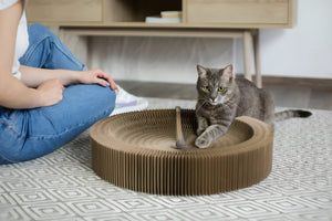 Cozy Pet Beds for Peaceful Rest